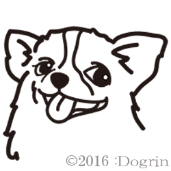 ʥ󥰡ˡB