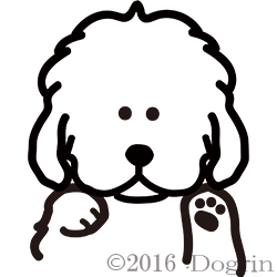 ˥塼ե󡡥ѥԥ