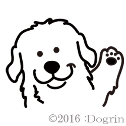 ˥塼ե󡡥ϥ