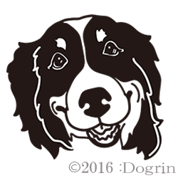 バニ りりー Dogrin Dog Style Shop バニ りりー Dogrin Dog Style Shop