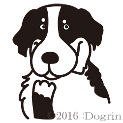 バニ スマイル Dogrin Dog Style Shop バニ スマイル Dogrin Dog Style Shop