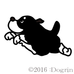Хˡ
