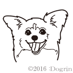 ѥԥ󡡤Ѥ