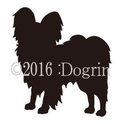 パピオン Dogrin Dog Style Shop パピオン Dogrin Dog Style Shop