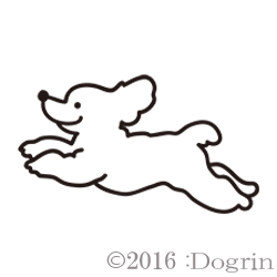 סɥ롡