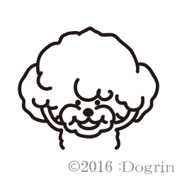 סɥ롡ƥǥ٥