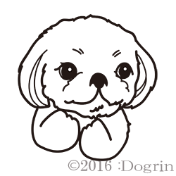 ڥˡޤ