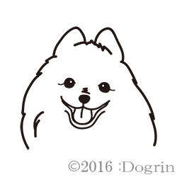 ݥᡡĤʤ