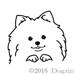 ݥᡡ