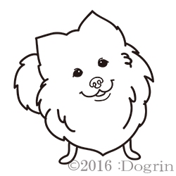 ݥᡡ