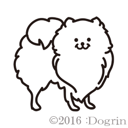 ݥ˥󡡥ޥ
