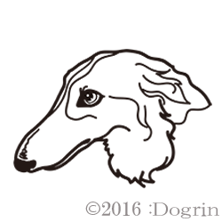 ボルゾイ れん Dogrin Dog Style Shop