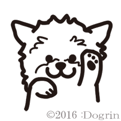 衼ѥԥ