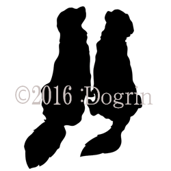 ｺﾞｰﾙﾃﾞﾝﾚﾄﾘﾊﾞｰ Dogrin Dog Style Shop