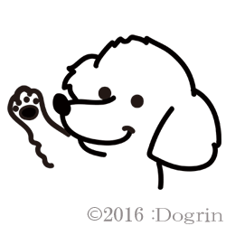 סɥʴХˡϥ