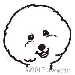 ӥե꡼꤯