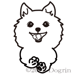 ʥ󥰡ˡȥRUN