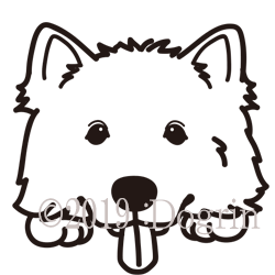 サモエド ぎん Dogrin Dog Style Shop