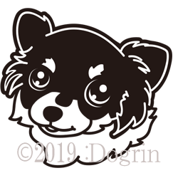 ʥ󥰡ˡݥåѡ