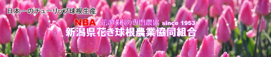 新潟県花卉球根農業協同組合