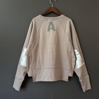<img class='new_mark_img1' src='https://img.shop-pro.jp/img/new/icons14.gif' style='border:none;display:inline;margin:0px;padding:0px;width:auto;' />[ Ladies' ] arkakama spring'25 :  SPD W.S Sweatshirt (GREY)