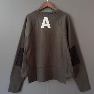 <img class='new_mark_img1' src='https://img.shop-pro.jp/img/new/icons14.gif' style='border:none;display:inline;margin:0px;padding:0px;width:auto;' />[ Ladies' ] arkakama spring'25 :  SPD W.S Sweatshirt (CHRACOAL)