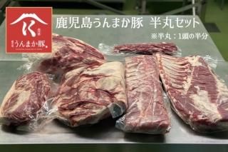 鹿児島うんまか豚 半丸セット【送料無料※一部地域除く】