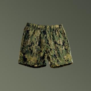 <img class='new_mark_img1' src='https://img.shop-pro.jp/img/new/icons15.gif' style='border:none;display:inline;margin:0px;padding:0px;width:auto;' />QILO x SC Irregulars EDC Short Mk. III in Aor2