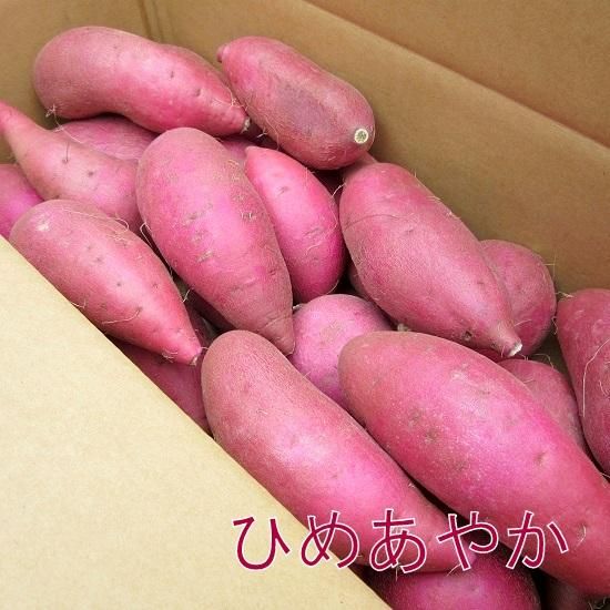 味は同じなのに小さめだからお買い得！千葉県産サツマイモ(ひめ