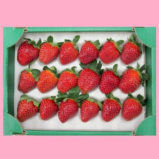 希少な品種のイチゴ 千葉県産黒いちご 真紅の美鈴 しんくのみすず ちばの恵み 千葉の名産 特産品 伝統的工芸品を通販でお取り寄せ 希少な品種のイチゴ 千葉県産黒いちご 真紅の美鈴 しんくのみすず ちばの恵み 千葉の名産 特産品 伝統的工芸品を通販でお取り寄せ
