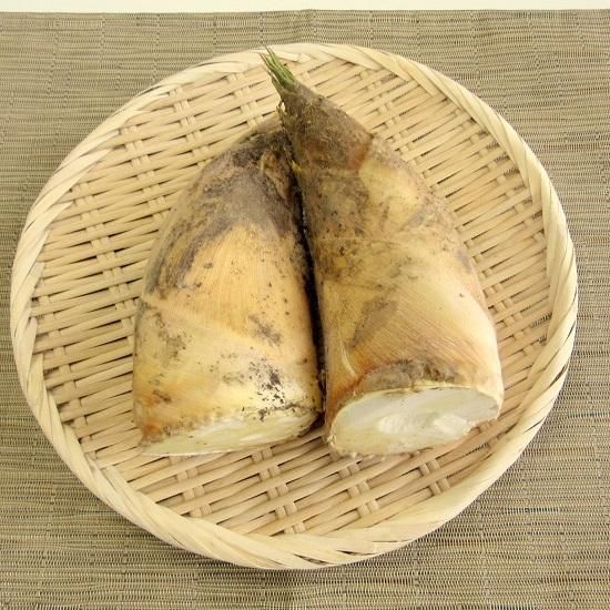 大多喜産タケノコ ちばの恵み 千葉の名産 特産品 伝統的工芸品を通販でお取り寄せ