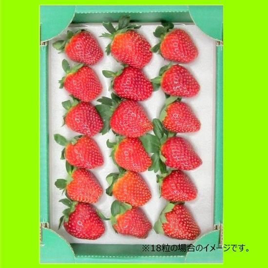 成東の朝摘み大粒いちご ちばの恵み 千葉の名産 特産品 伝統的工芸品を通販でお取り寄せ