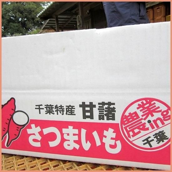 千葉県産サツマイモ ベニアズマ を産地から直送 ちばの恵み 千葉の名産 特産品 伝統的工芸品を通販でお取り寄せ 千葉県産サツマイモ ベニアズマ を産地から直送 ちばの恵み 千葉の名産 特産品 伝統的工芸品を通販でお取り寄せ