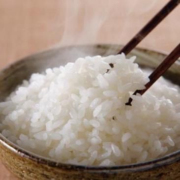 千葉代表の米!千葉多古産コシヒカリ(5kg) - 【ちばの恵み】千葉 千葉代表の米!千葉多古産コシヒカリ(5kg) - 【ちばの恵み】千葉