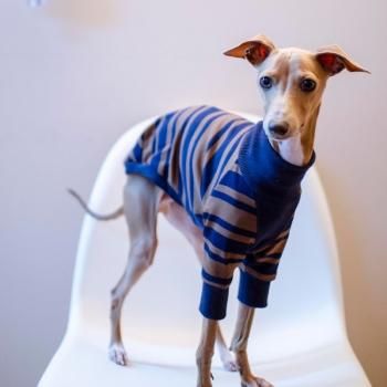 イタグレ 服 イタグレ服 コミック 柄 ロンパース つなぎ 韓国犬服 室内着