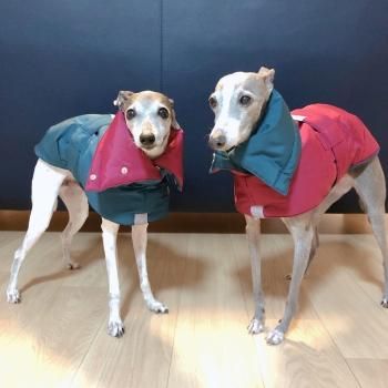 リバーシブル オーバーコート ［パープル×オーシャン］/イタグレ服