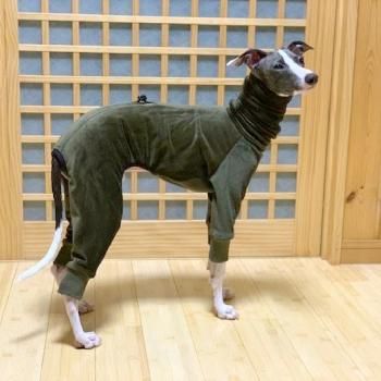 チコリ 様専用 イタグレ服 フリース ロンパース トリコロール 5点