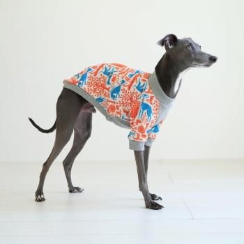 史上最も激安 イタグレ服 犬用品 - ang54ページ ハンドメイド 犬服・アクセサリー