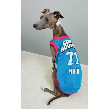 名入れ / メッシュタンク： グレーハウンズ 背番号 ユニフォーム