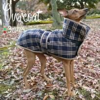 【オンライン限定商品】  アウター(イタリアングレーハウンド 犬服/イタグレ服) 犬服・アクセサリー