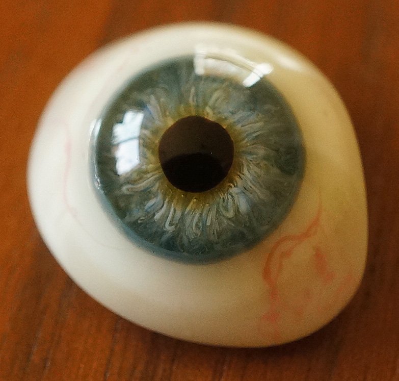 アンティーク・義眼（ドイツ・ラウシャ製／1890年頃） - Guignol 