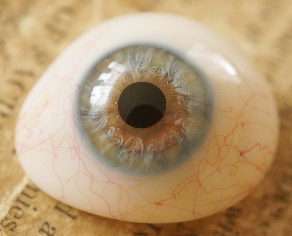 アンティーク・義眼（ドイツ・ラウシャ製／1890年頃） - Guignol
