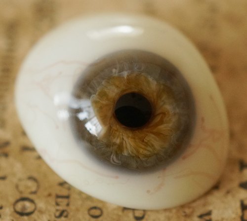 アンティーク・義眼（ドイツ・ラウシャ製／1890年頃）