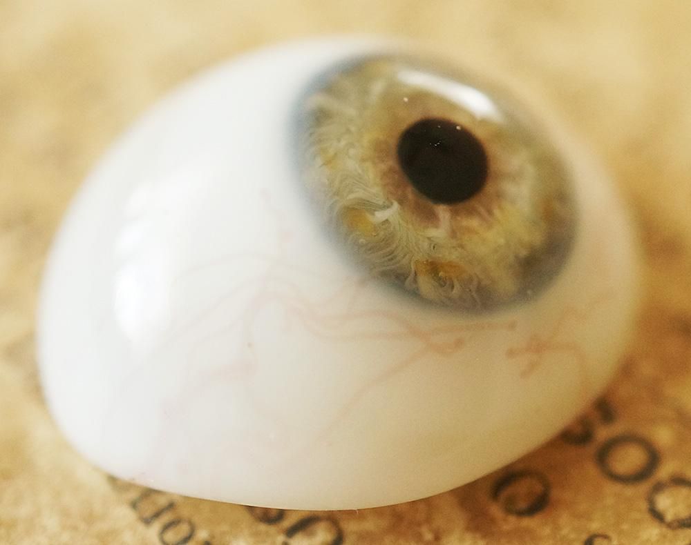 アンティーク・義眼（ドイツ・ラウシャ製／1890年頃） - Guignol