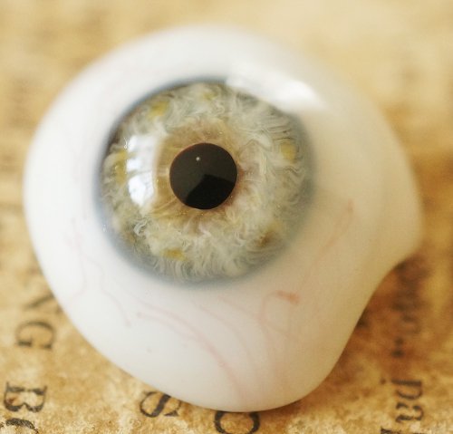 アンティーク・義眼（ドイツ・ラウシャ製／1890年頃）