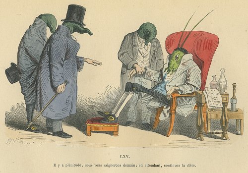 J・J・グランヴィル『現代版変身譚 改訂新版』フランス／1869年