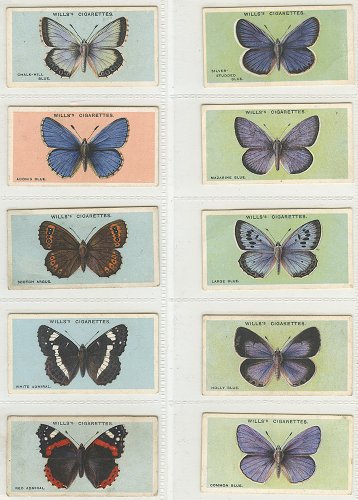 åȥɡBRITISH BUTTERFLIES10祻åȡꥹ1927ǯ