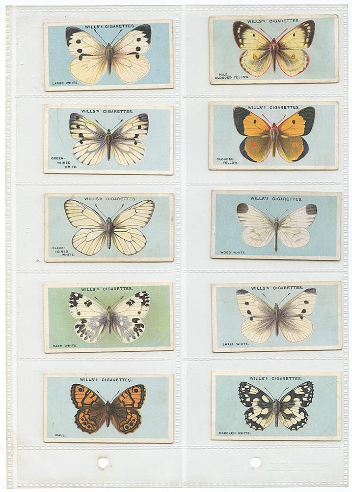 シガレットカード イギリス 蝶 ヴィンテージ シガレットカード「BRITISH BUTTERFLIES」10枚セット／イギリス