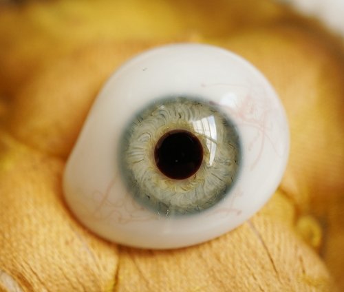 アンティーク・義眼（ドイツ1890年頃・ラウシャ製）