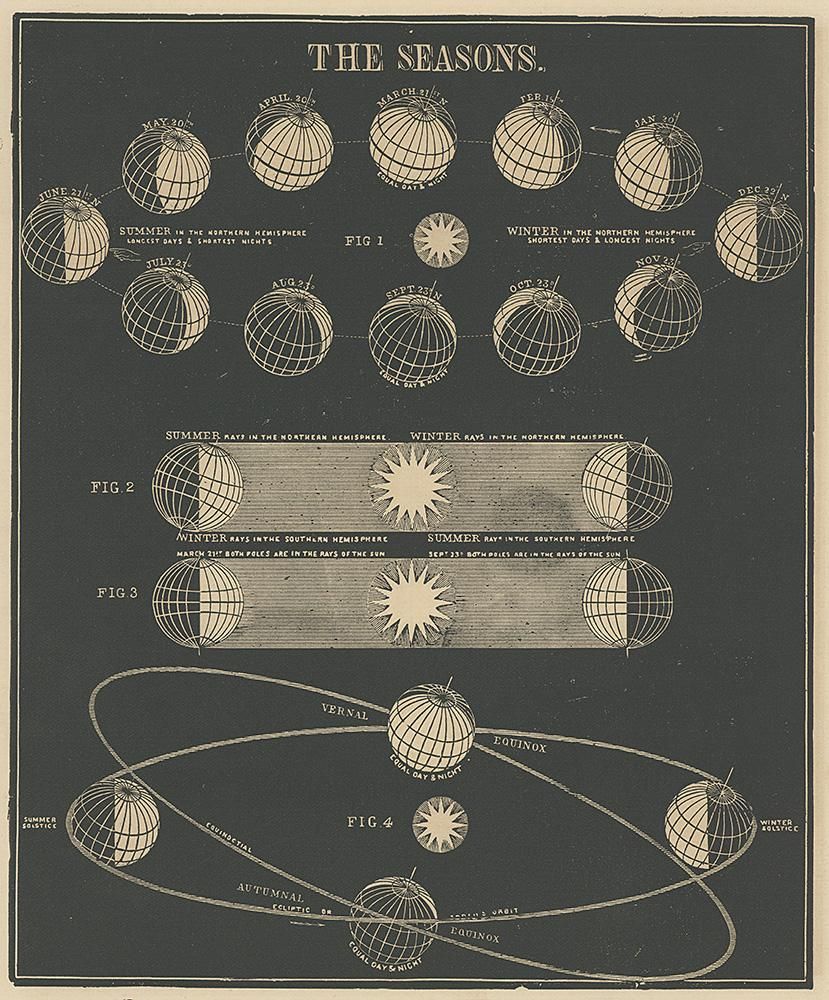 スミスの図解天文学/Smith's Illustrated Astronomy - Guignol スミスの図解天文学/Smith's Illustrated Astronomy - Guignol